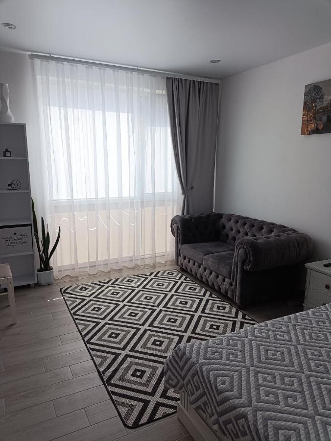 Apartment Comfort On Ruska Street Tjernivtsi Eksteriør billede